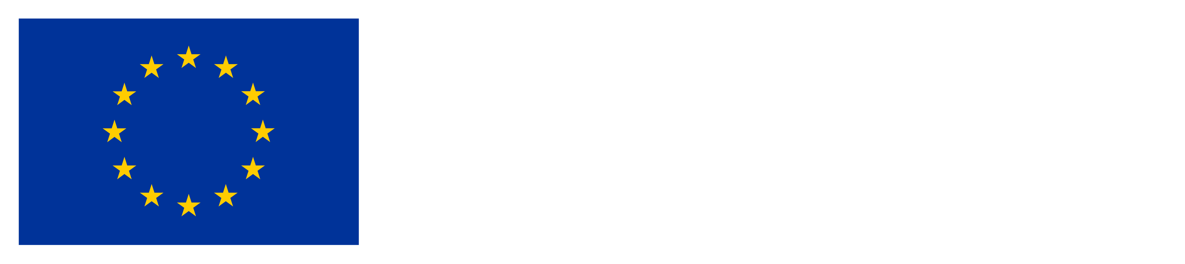 Co-funded by European Union