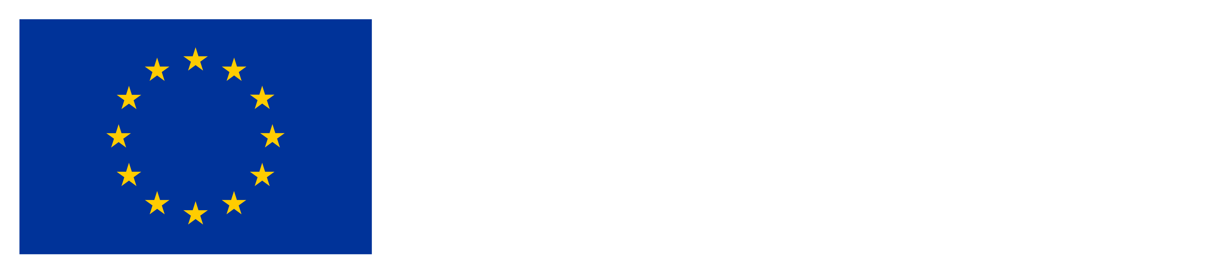 Co-funded by European Union